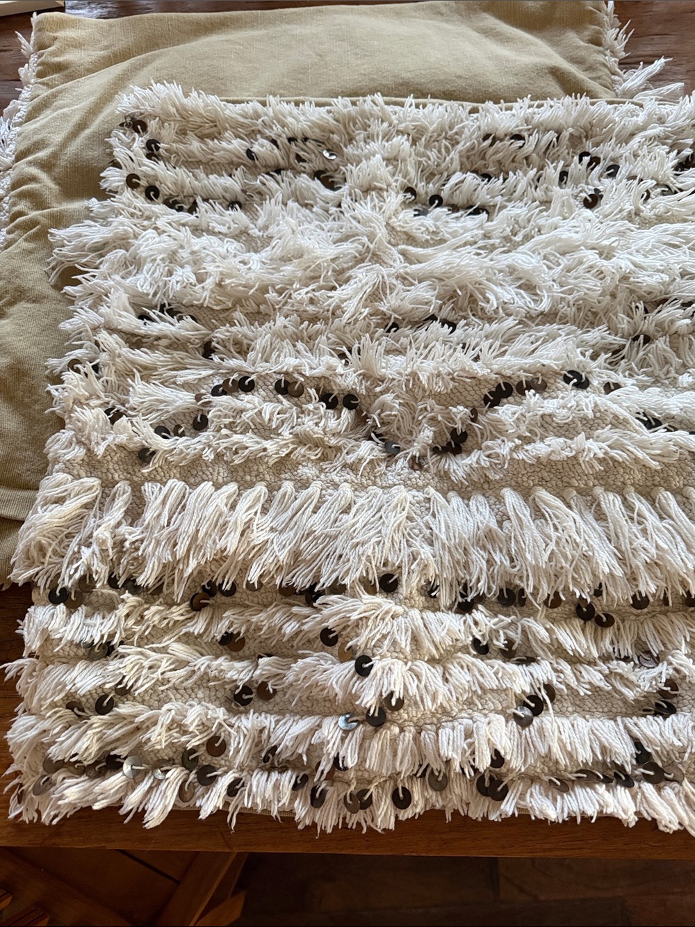 Pottery Barn 24 inch pillow covers